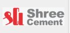 shree cement
